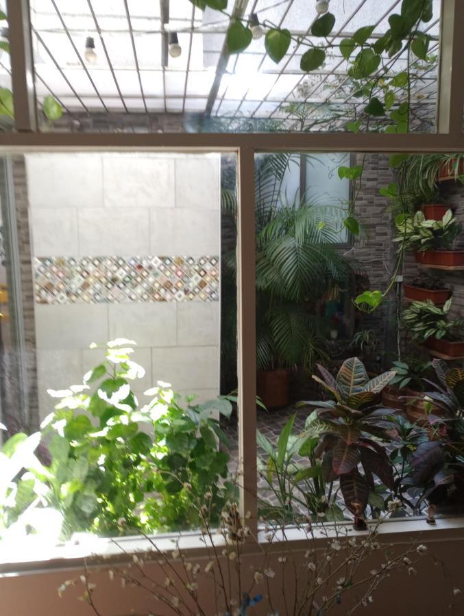 Noras Homestay Laureles Medellín Dış mekan fotoğraf